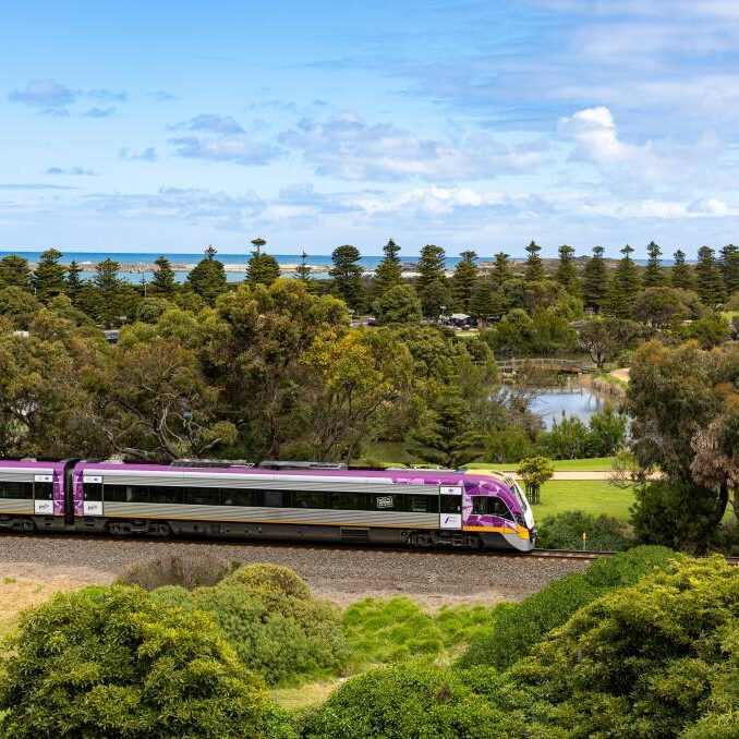 vline train